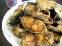 ������ˬѬ���������