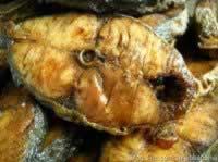 ������ˬѬ���������