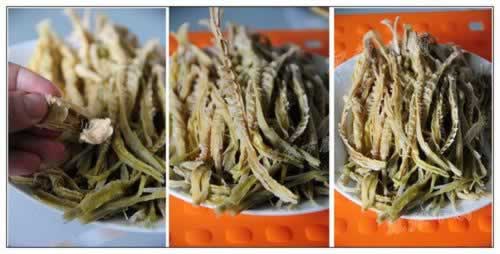 ���ɲ�����˿�������