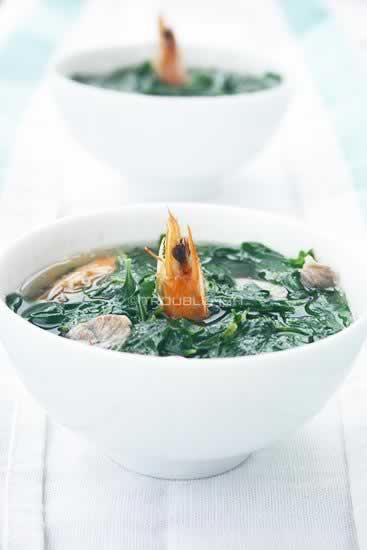 Ϻͷ��Ƭ�����Ҷ������