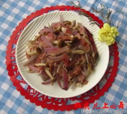 ������Ģ��������