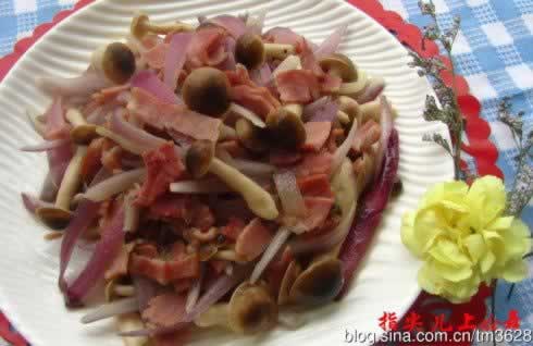 ������Ģ��������