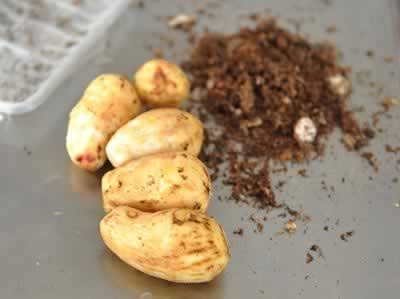 �������ܵ����������