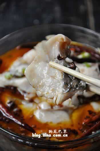 ˮ����Ƭ������