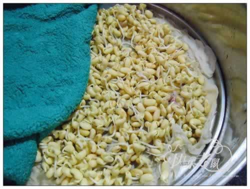 �Է���ѿ������