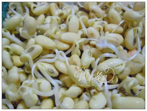 �Է���ѿ������