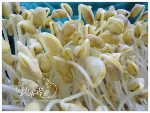 �Է���ѿ������