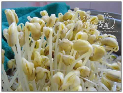 �Է���ѿ������