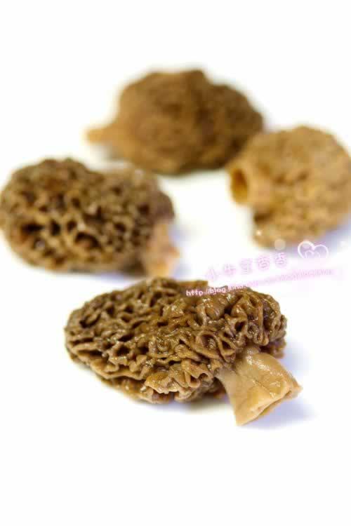 ��Ǿ����Źǵ�����