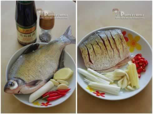 ��ȸ�����������