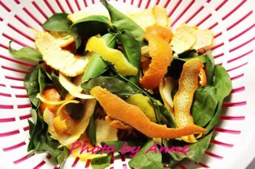 ��޹��������ţ���㷹������