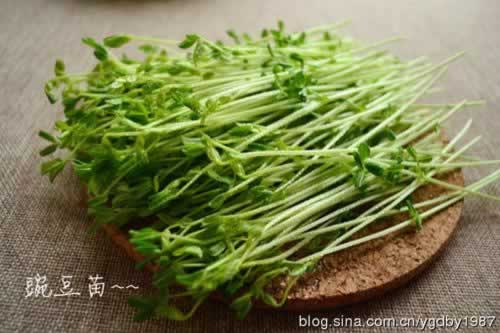 �����㶹�������