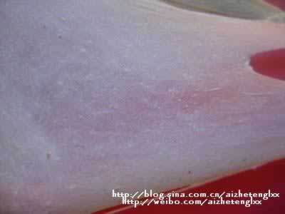 ����֥�������������˾������