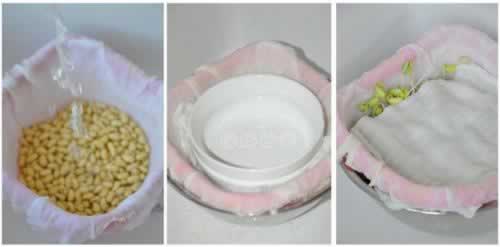 ��ͥ�Է��ƶ�ѿ�����Իƶ�ѿ������