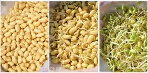 ��ͥ�Է��ƶ�ѿ�����Իƶ�ѿ������