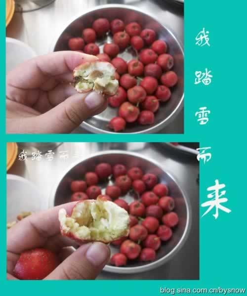 ����ɽ髾Ƶ�����