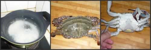 �����з�������