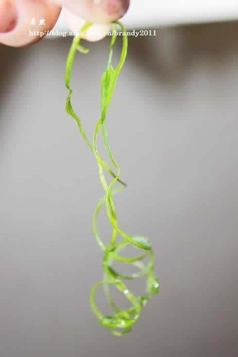 �ͽ��������