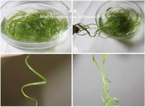 �ͽ��������