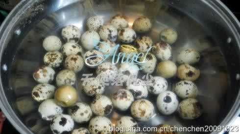 ��ֻС��¶Ӫ�㵱������