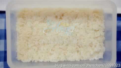 ��ֻС��¶Ӫ�㵱������