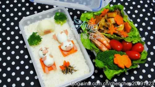 ��ֻС��¶Ӫ�㵱������