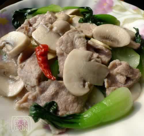 Ģ����Ƭ������˵�����