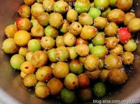 ����÷VS÷�Ӵ׵�����