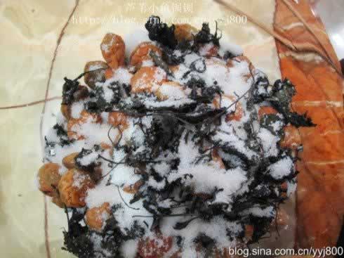 ����÷VS÷�Ӵ׵�����