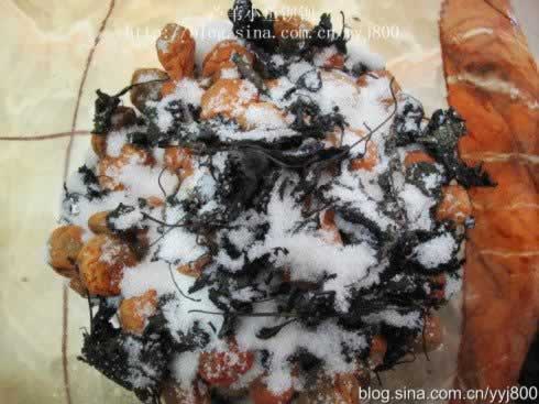 ����÷VS÷�Ӵ׵�����