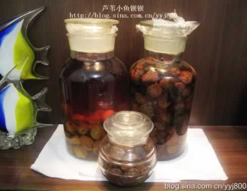 ����÷VS÷�Ӵ׵�����