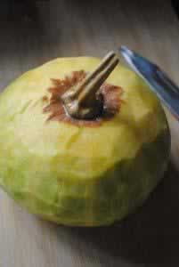 �Ϲ�Ŵ�׺�������