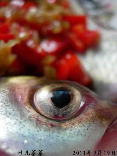 剁椒蒸鳊鱼的做法