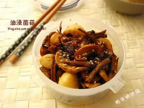 �ͽ�����������