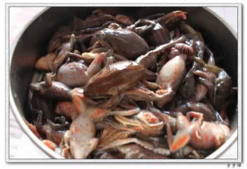 酱焖蛤蟆的做法