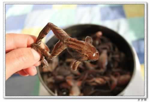 酱焖蛤蟆的做法