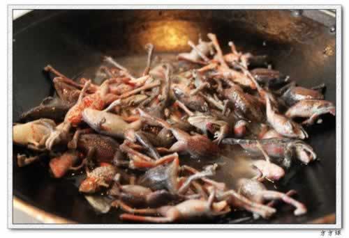 酱焖蛤蟆的做法