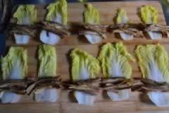 �ײ˾��ƻ��˵�����