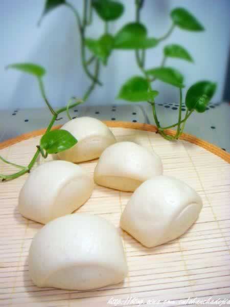 ţ�̵�����ͷ������