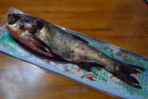 ������ͷ��ͷ������