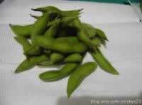 ������Ƭ������