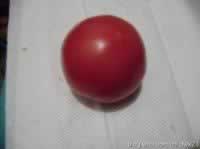 ������Ƭ������