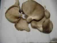 ������Ƭ������