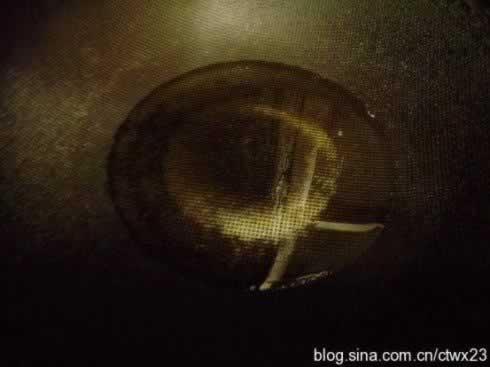 ������Ƭ������