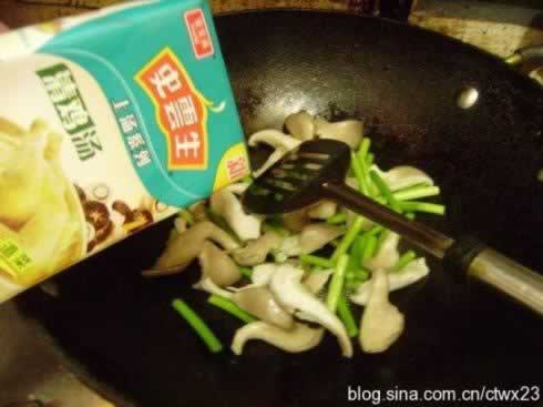 ������Ƭ������