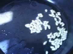 ���Ӷ���������