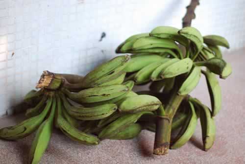 ����������������