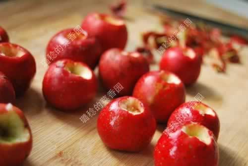 ���ƴ������ɽ�֭������