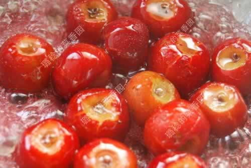 ���ƴ������ɽ�֭������