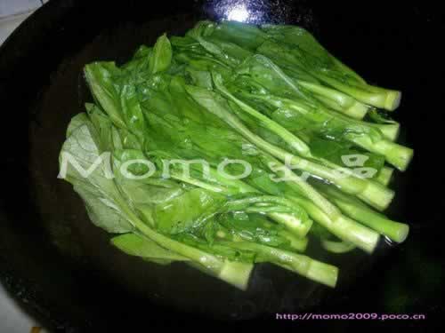 ���ĵ�����